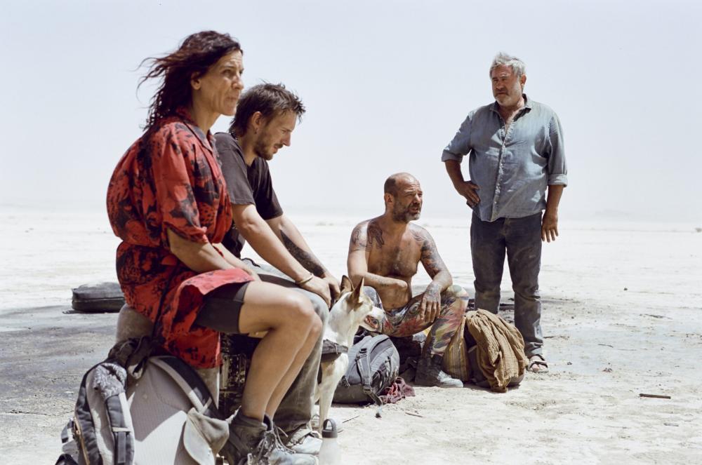 SIRĀTS |Festivāls Lācis,lauva un zars