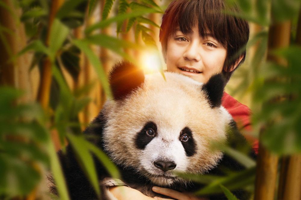 Zēns un panda