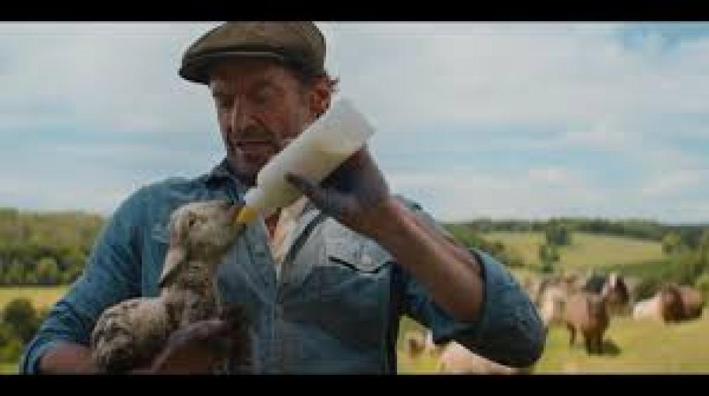 Aitas izmeklētājas