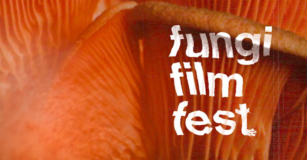 Sēņu Filmu Festivāls