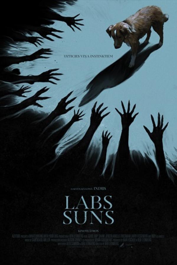 Labs suns