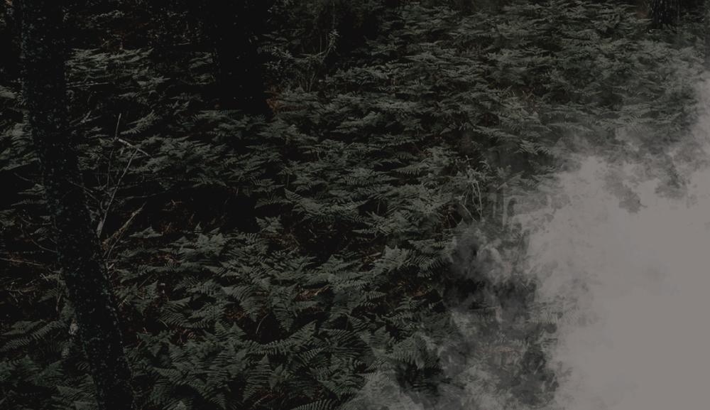 Cēsu teātra jauniešu studijas izrāde "Būda mežā"